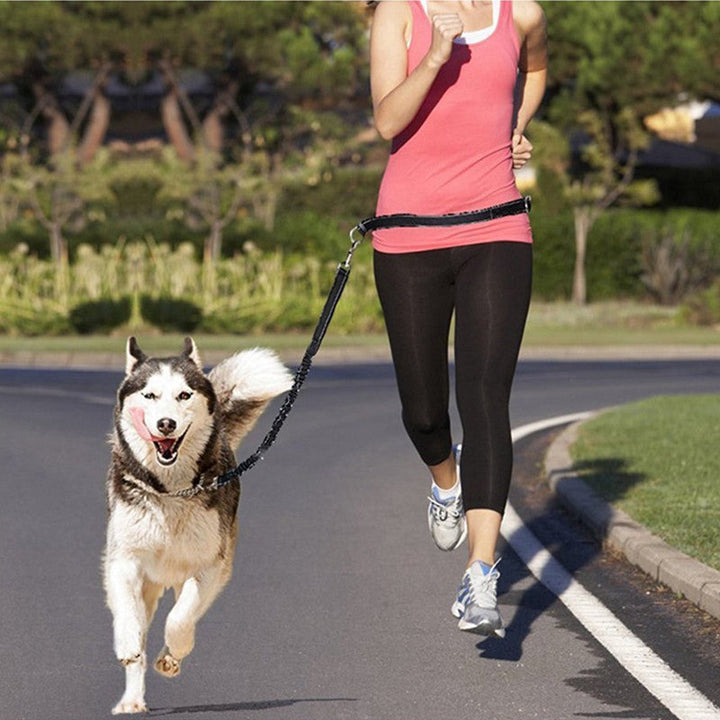 Adjustable Pet Harness Collar Jogging Leash Set: The Ultimate Adventure Buddy!