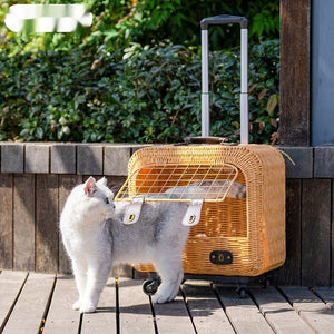 The Perfect Companion: Portable Woven Rattan Pet Carrier