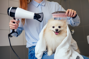 Essential Grooming Tools for Healthy Pets