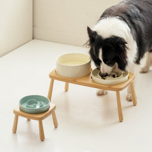 Why Your Pet Deserves the Ceramic Slow Feeding Anti Choking Bowl