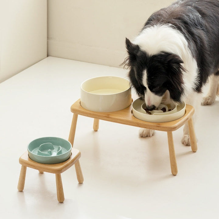 Why Your Pet Deserves the Ceramic Slow Feeding Anti Choking Bowl