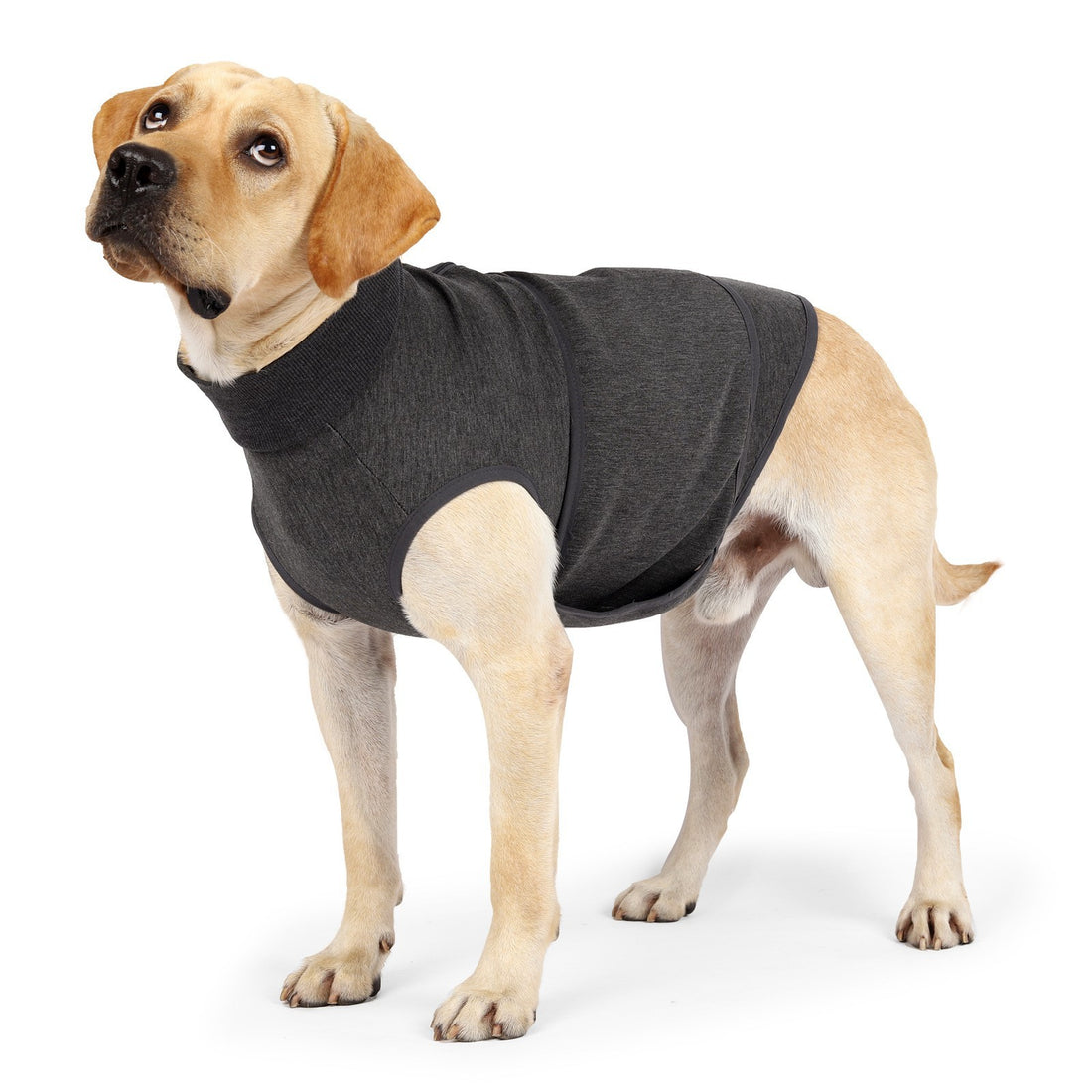 Comfort Cotton Polyester Double Layer Pet Jacket Apparel