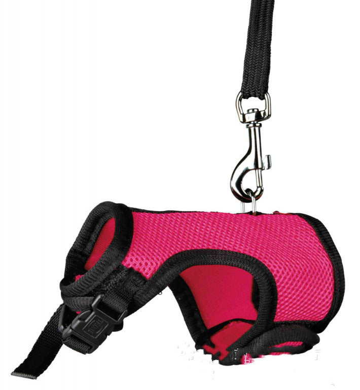 Small Pet Walking Leash Lead