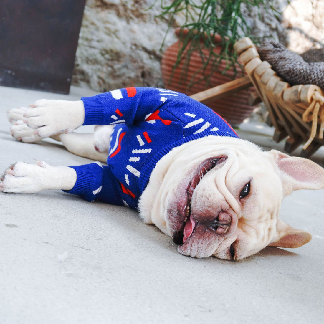 Cozy Pet Sweater Warm Clothing Apparel
