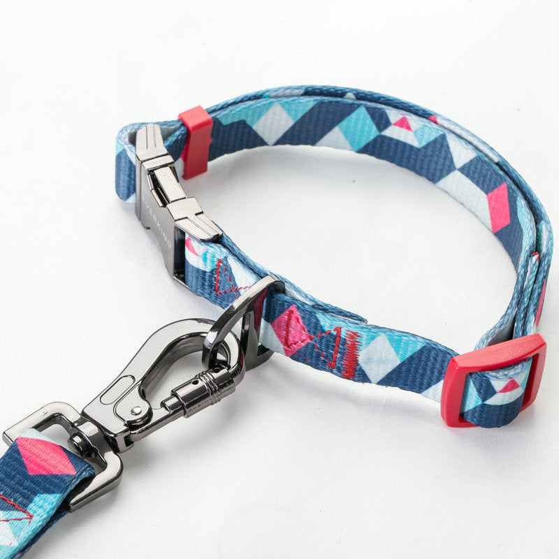Pet Leash For Secure Walking And Training