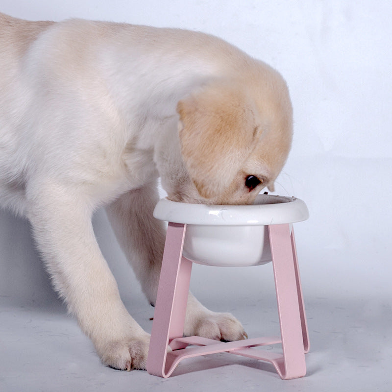 Anti Slip Pet Feeding Bowl Set With Iron Stand