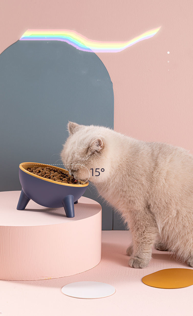 Nordic Style Pet Feeding Bowl With Stand