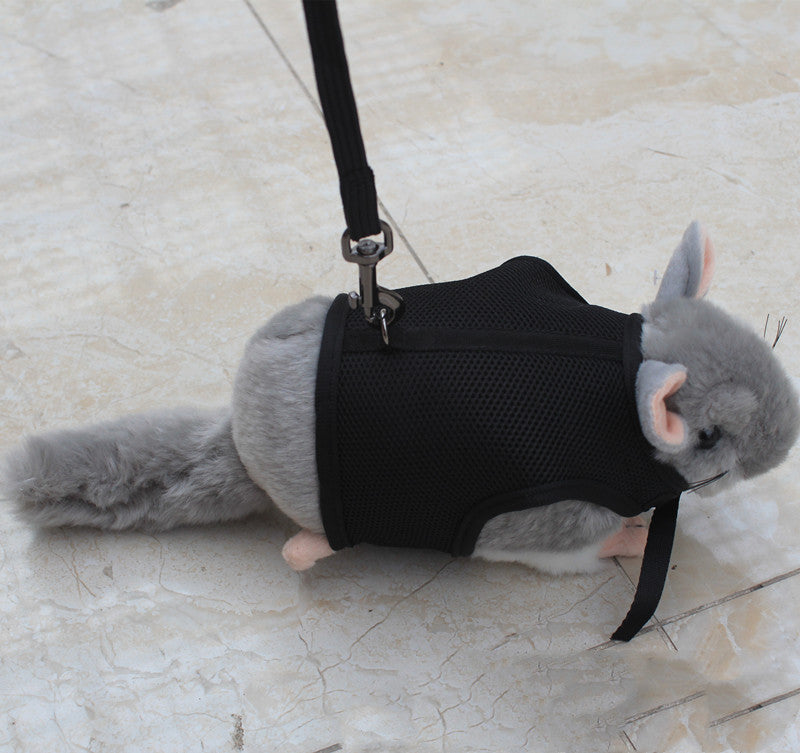 Small Pet Walking Leash Lead