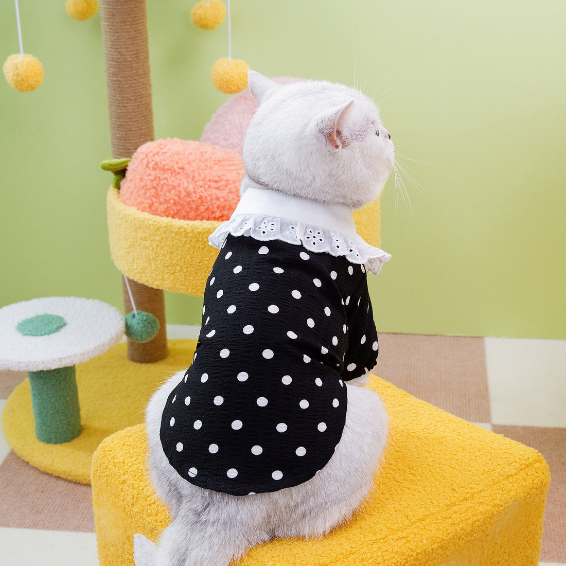 Blue Pet T Shirt Apparel