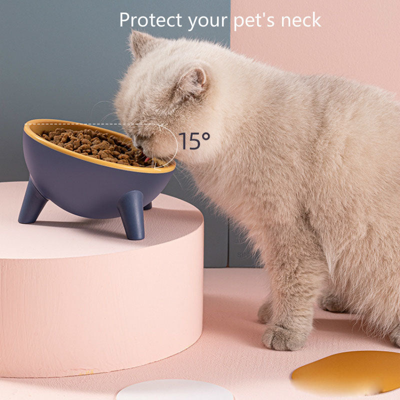 Nordic Style Pet Feeding Bowl With Stand