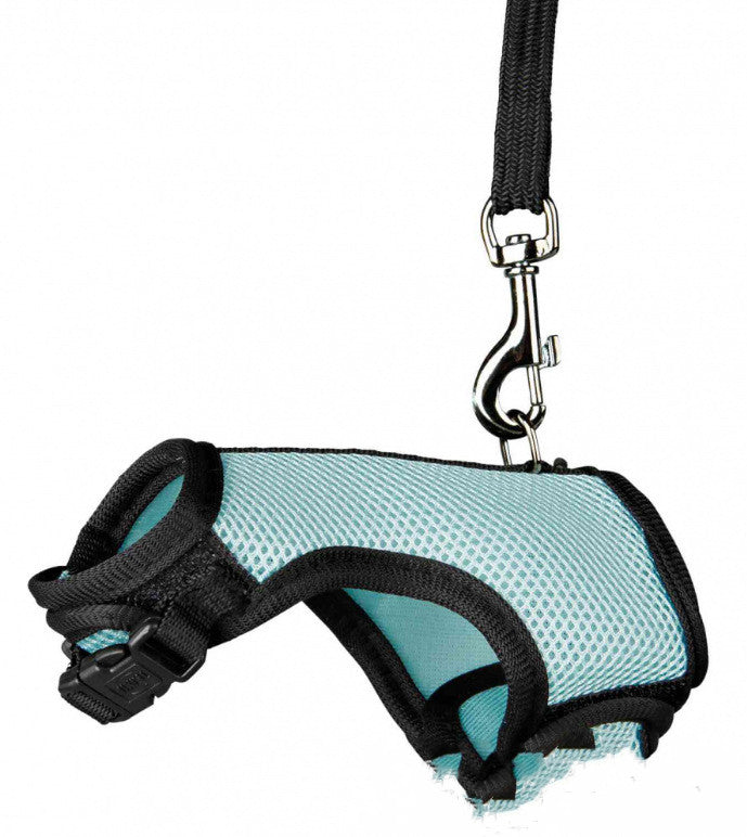 Small Pet Walking Leash Lead