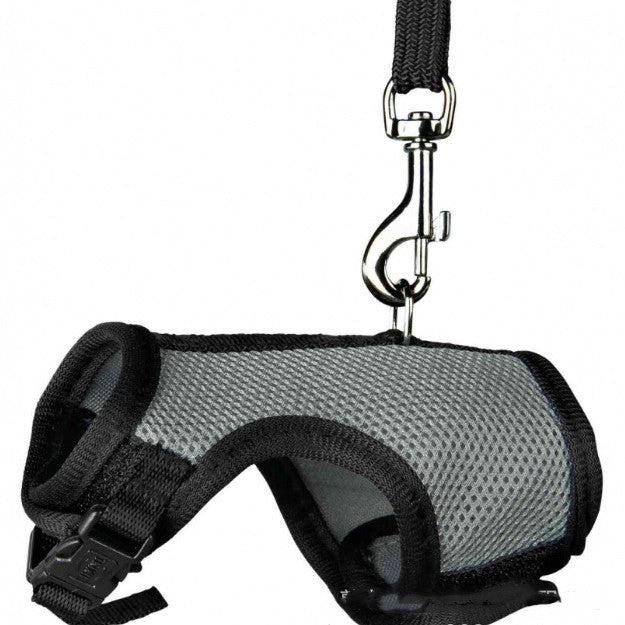 Small Pet Walking Leash Lead