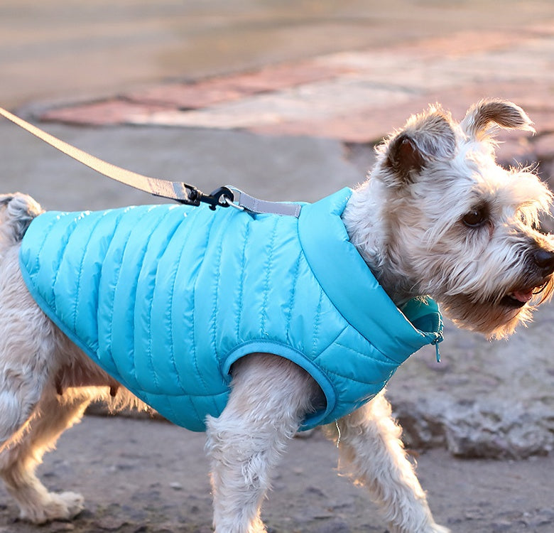 Nylon Zipper Autumn Winter Pet Jacket Apparel