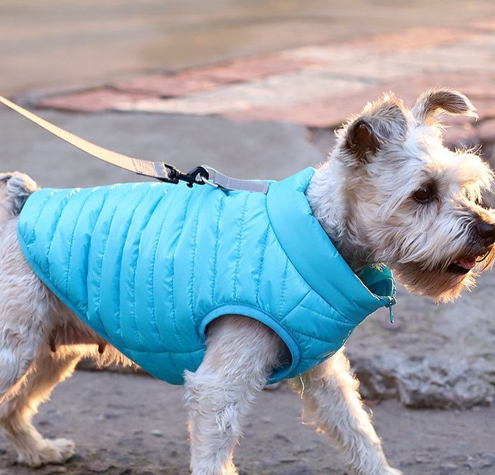 Nylon Zipper Autumn Winter Pet Jacket Apparel