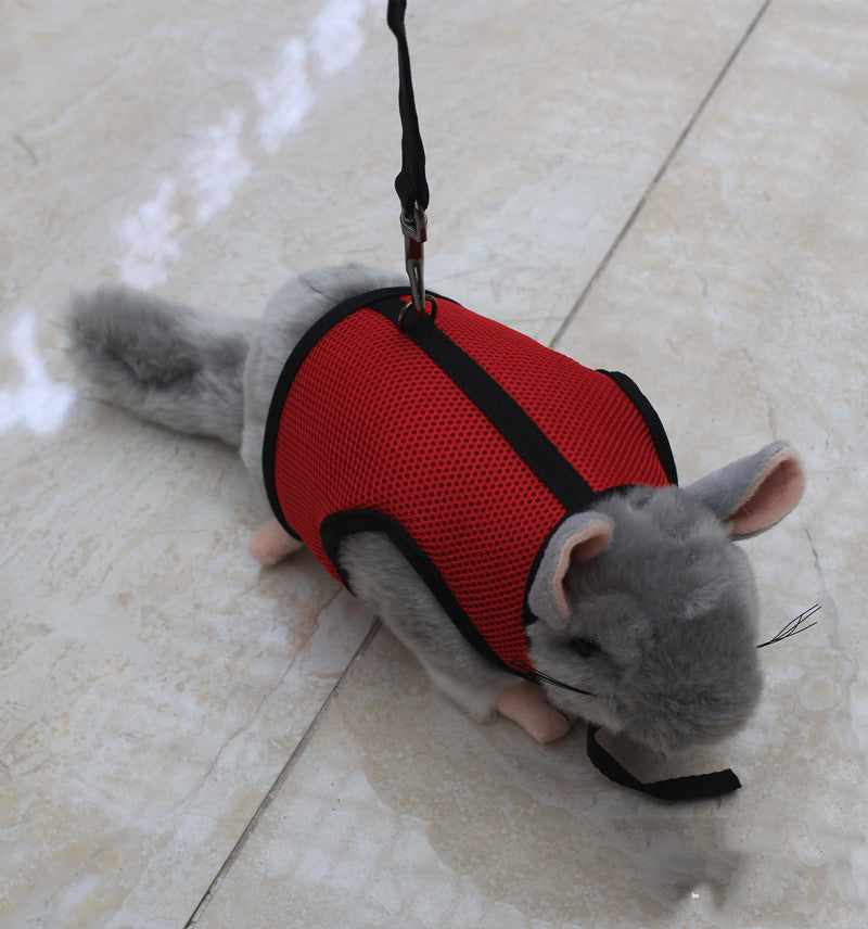Small Pet Walking Leash Lead