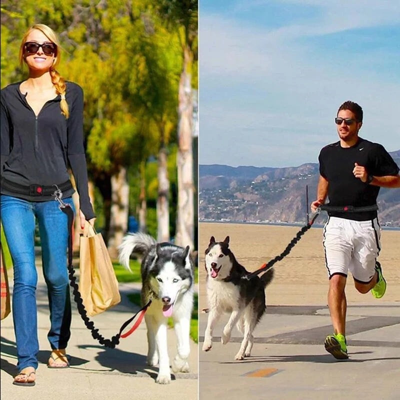 Adjustable Pet Harness Collar Jogging Leash Set