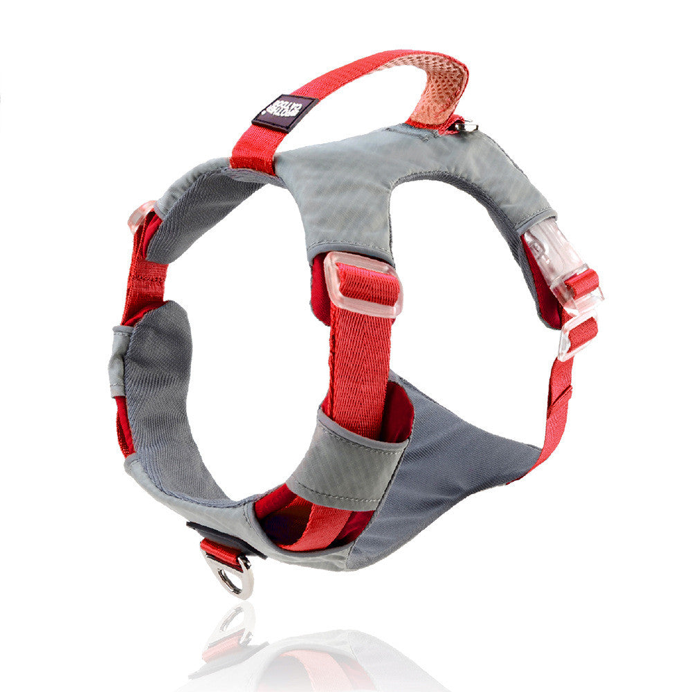 Heavy Duty Pet Chest Strap Harness With Storage Bag Leash Set