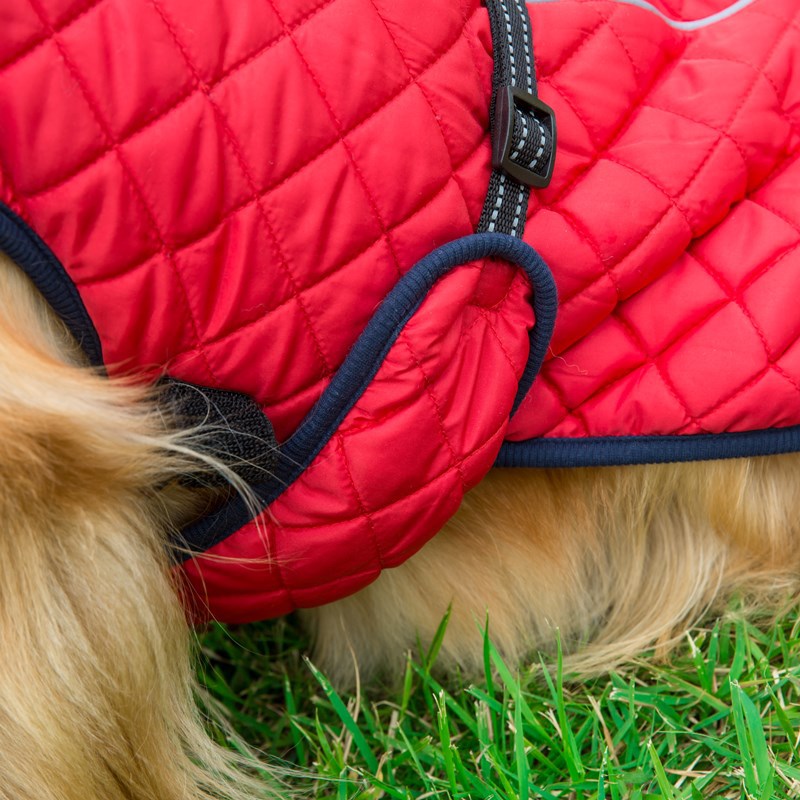 Adjustable Warm Cotton Pet Jacket Apparel