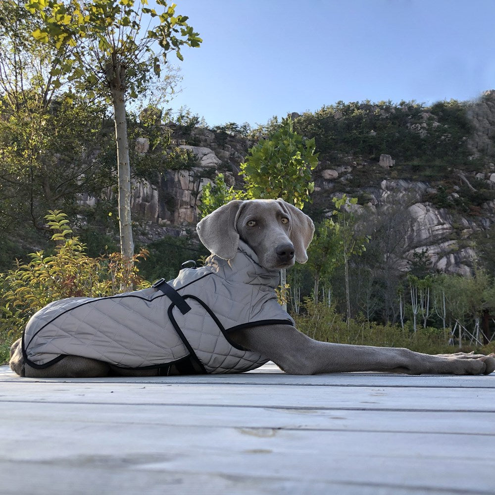 Reflective Full Body Tactical Pet Jacket Apparel