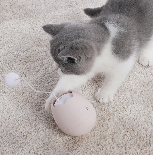 Interactive Funny Pet Toy Artifact