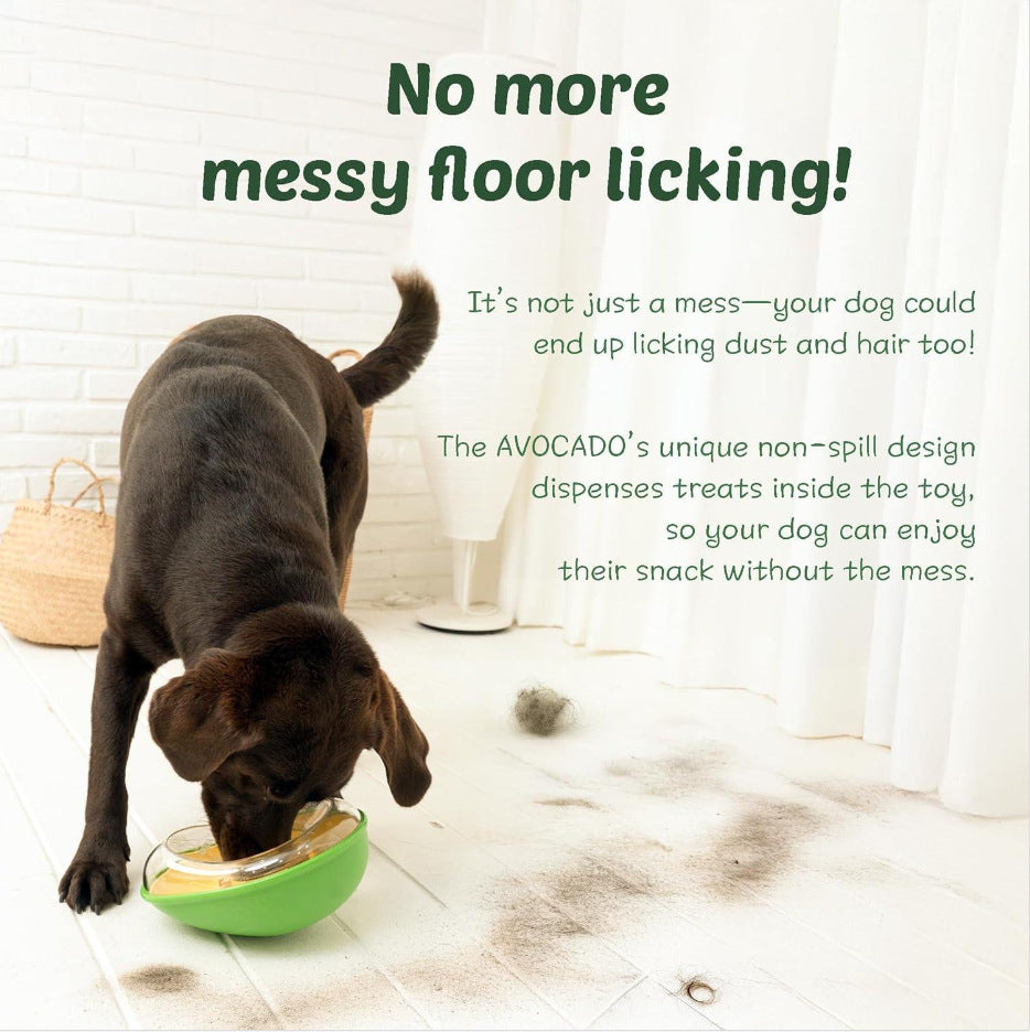 Anti Tumble Avocado Pet Feeding Bowl Cute Dish