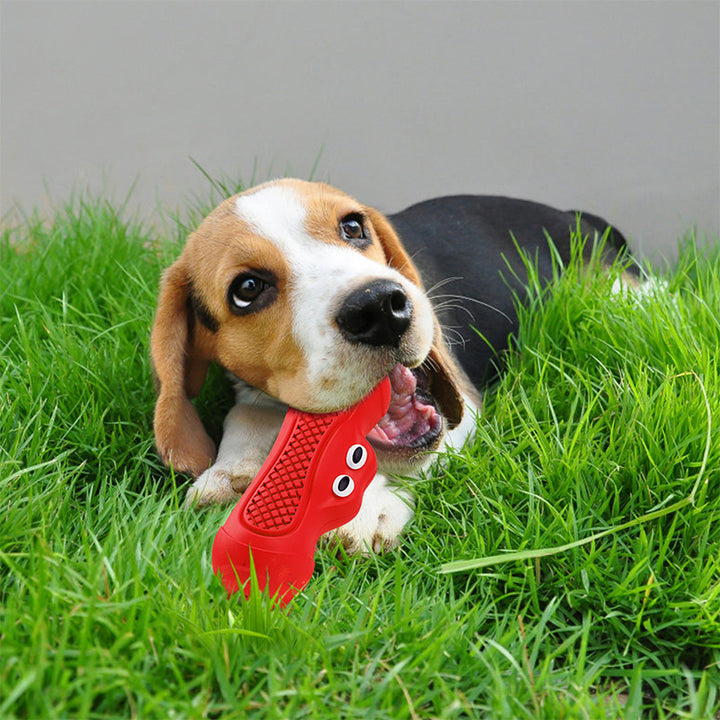 Interactive Rubber Pet Chew Toy For Teething And Biting