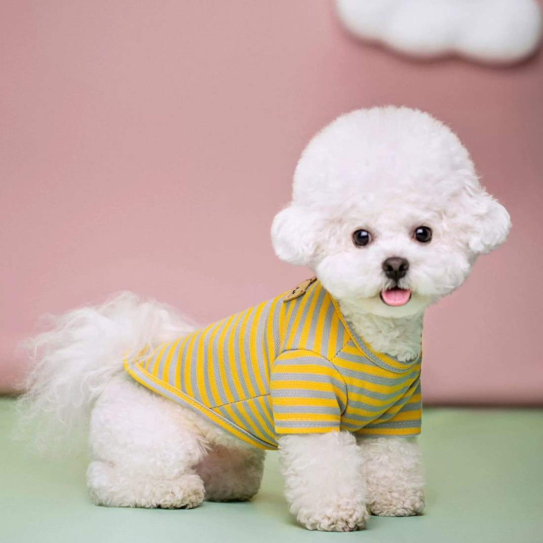 Breathable Summer Pet T Shirt Apparel