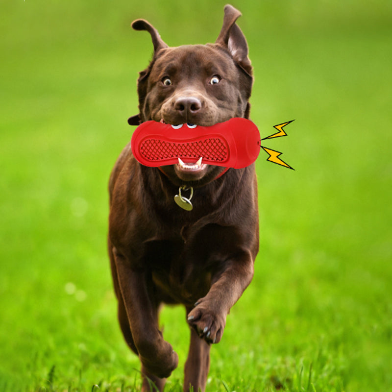 Interactive Rubber Pet Chew Toy For Teething And Biting