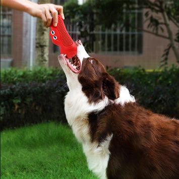 Interactive Rubber Pet Chew Toy For Teething And Biting