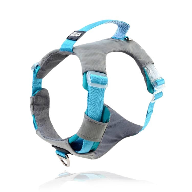 Heavy Duty Pet Chest Strap Harness With Storage Bag Leash Set