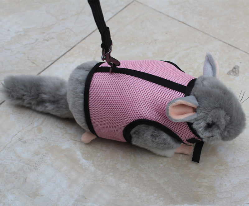 Small Pet Walking Leash Lead
