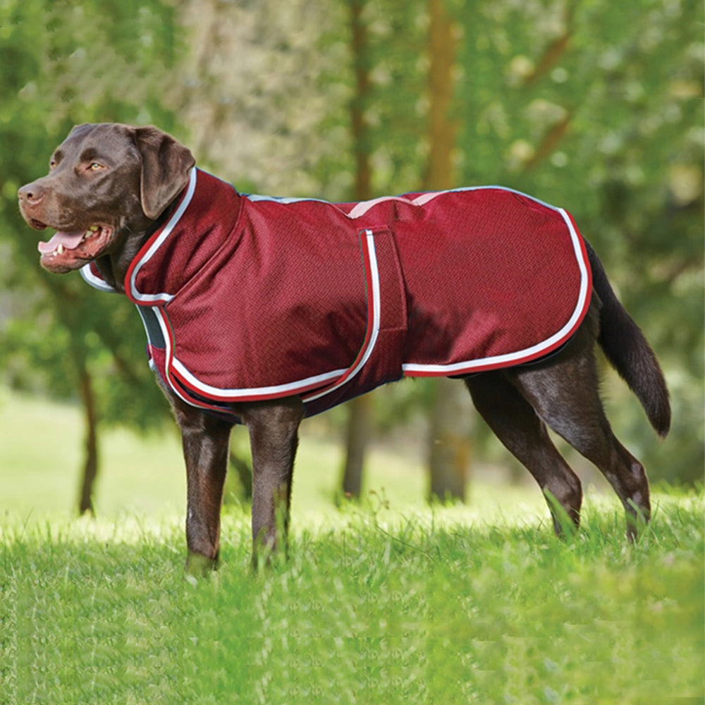 Warm Waterproof Autumn Winter Pet Leisure Jacket