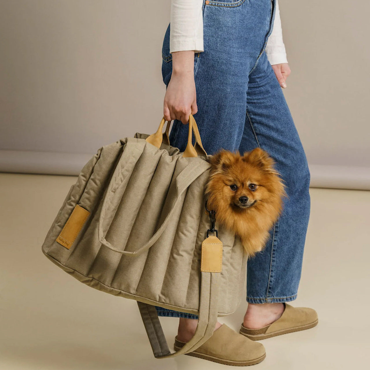 Waterproof Portable Pet Carrier Handbag Fashion Bag