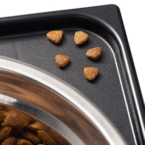 Elevated Pet Feeding Bowl Anti Tumble Neck Support Stand
