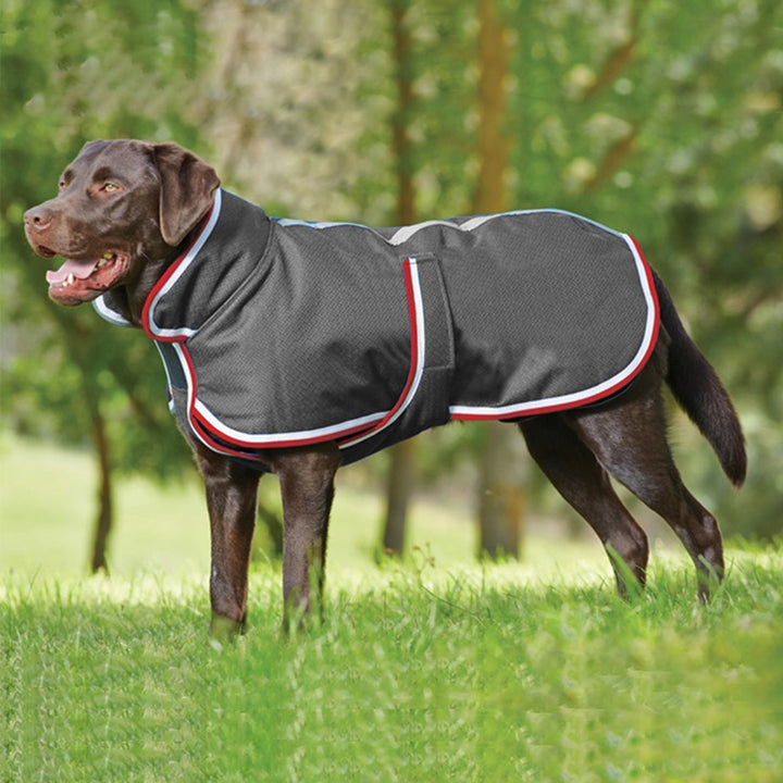 Warm Waterproof Autumn Winter Pet Leisure Jacket