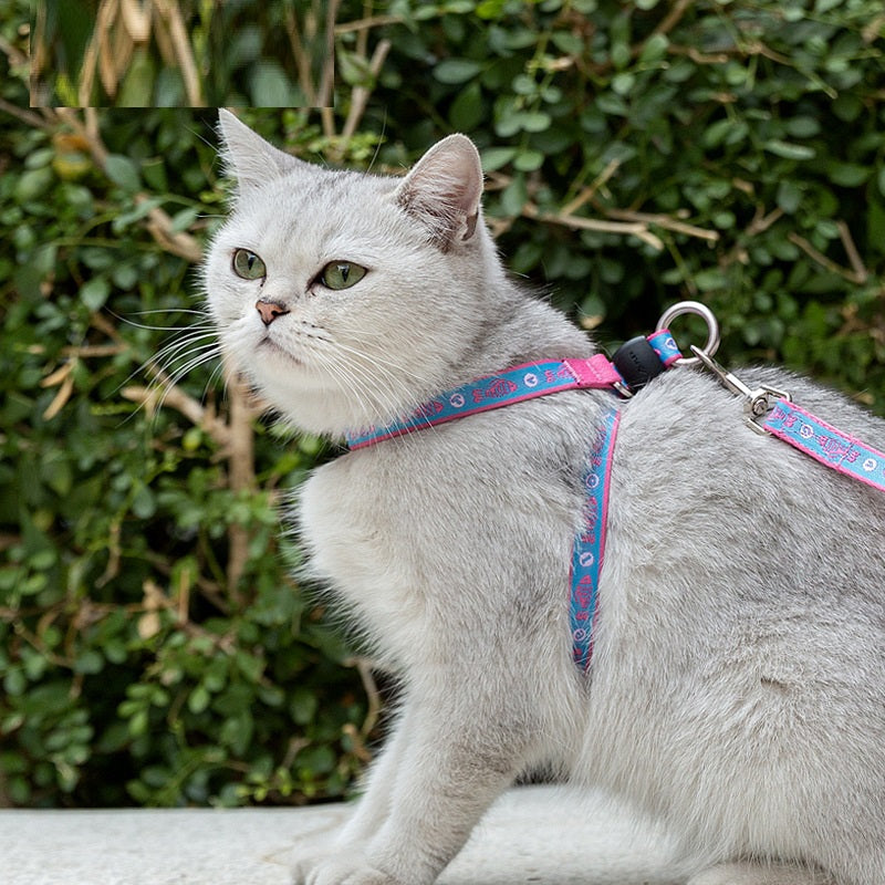 Bell Style Pet Chest Harness Leash Vest Set