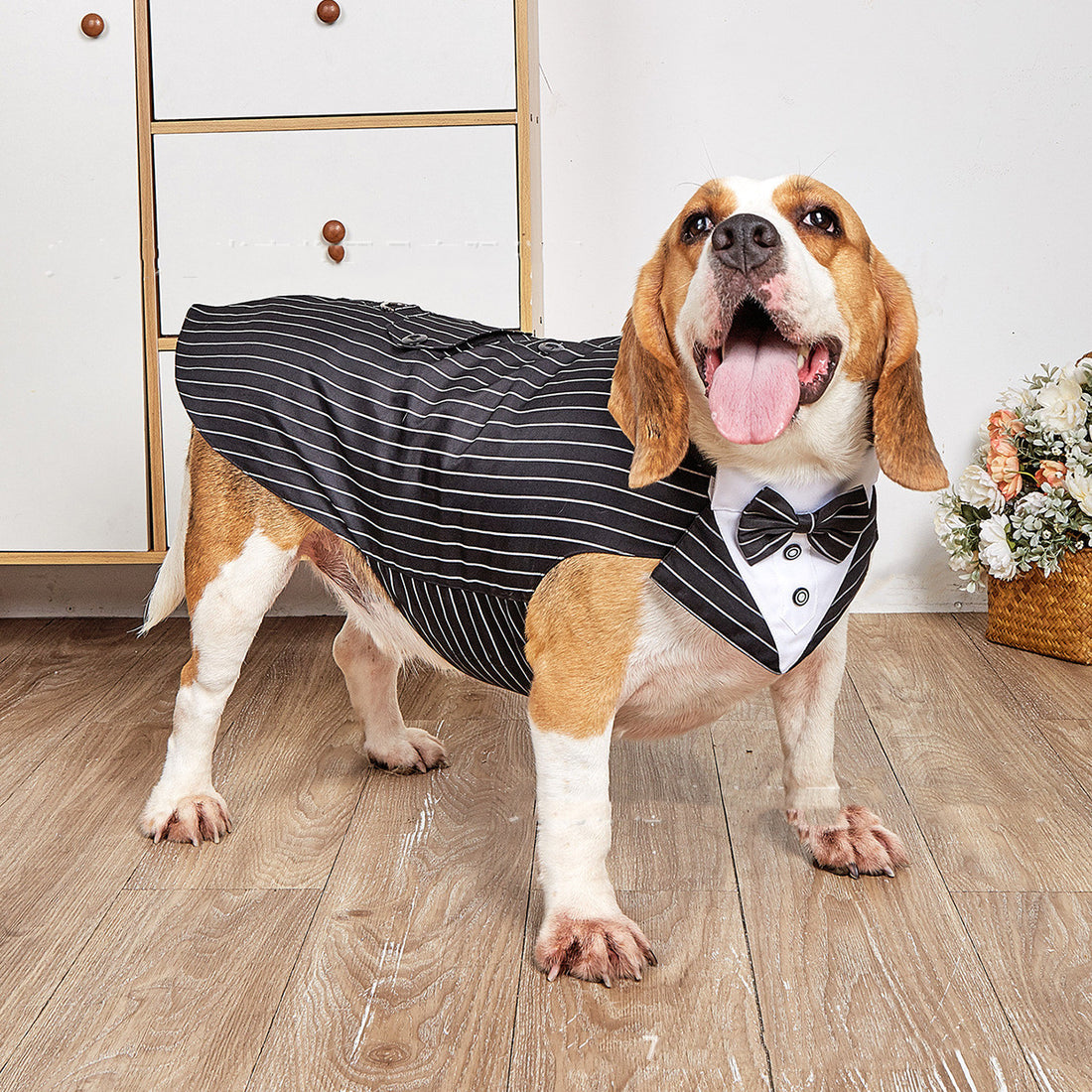 Swallowtail Wedding Suit Pet Formal Jacket Apparel