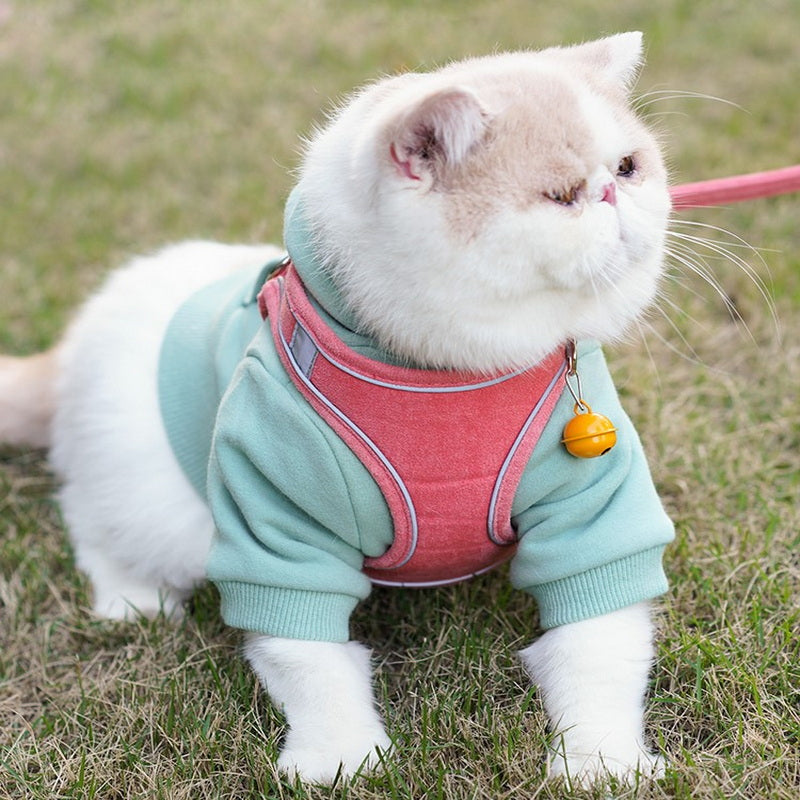 Vest Style Pet Chest Harness Leash Apparel