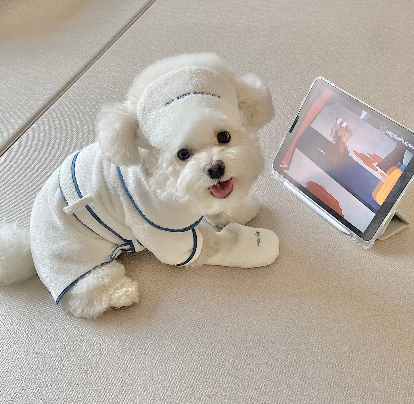 Pet Bathrobe Towel Photo Props Apparel