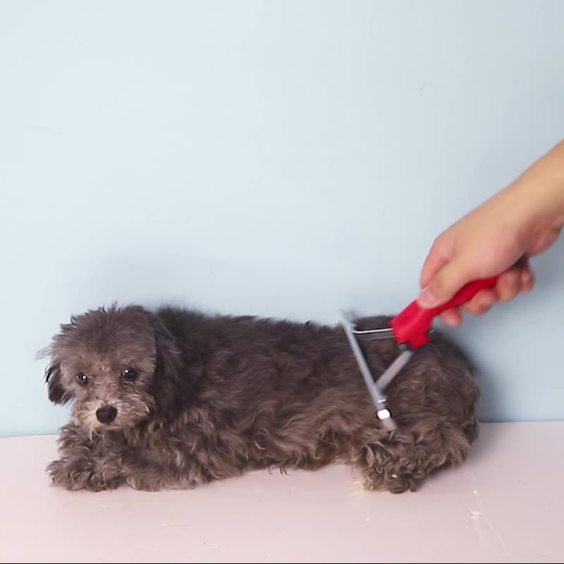 Extra Large Pet Deshedding Rake Comb Grooming Brush Tool