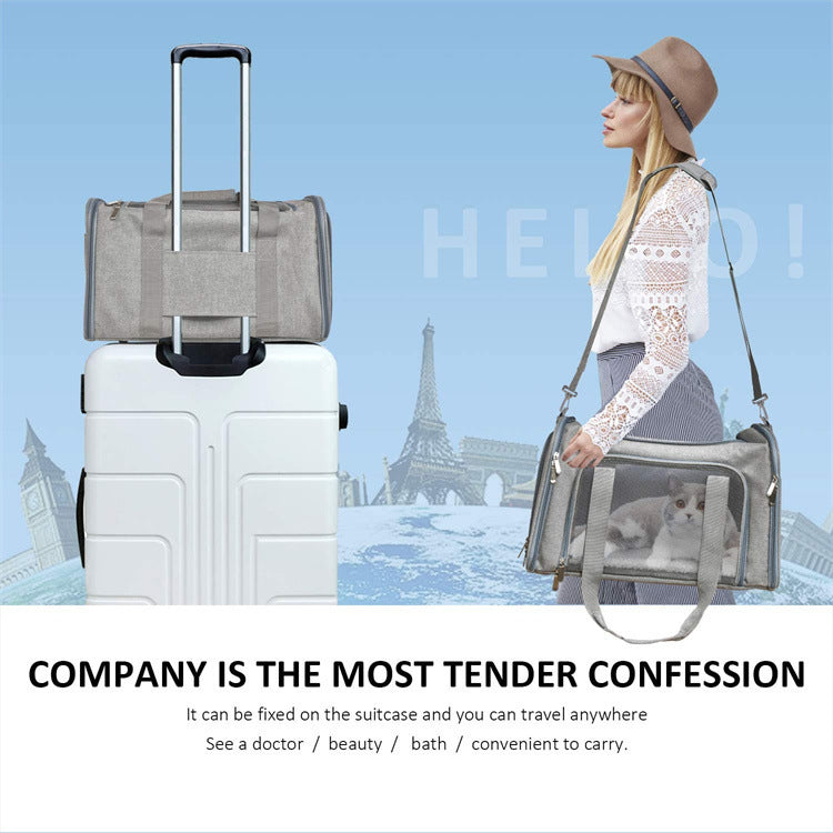 Foldable Portable Pet Carrier Handheld Travel Bag