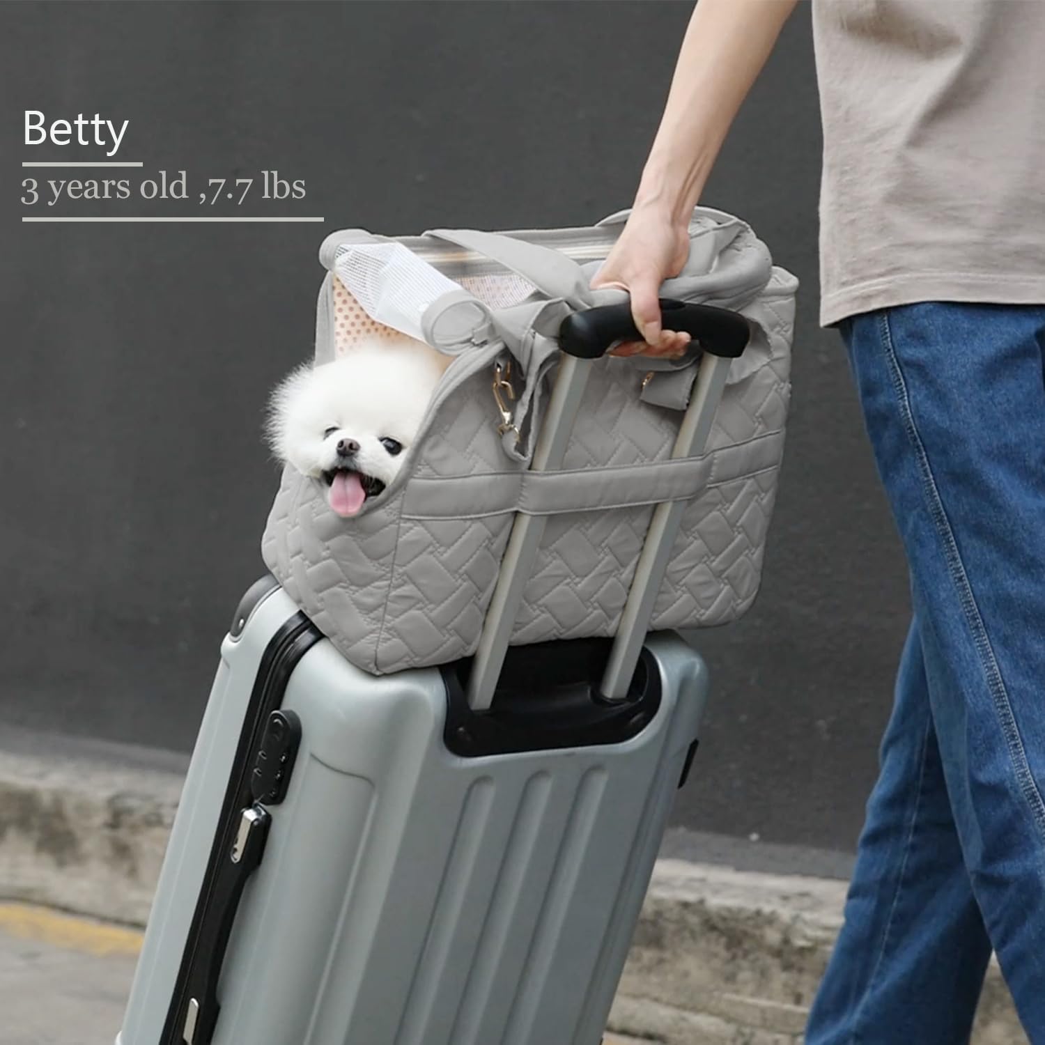 Breathable Mesh Pet Carrier Handbag With Pockets Travel Tote