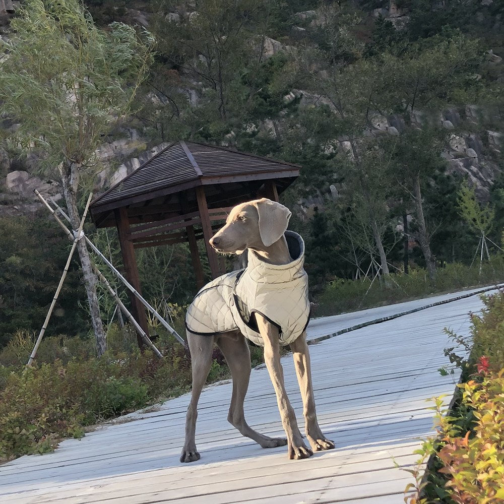 Reflective Full Body Tactical Pet Jacket Apparel