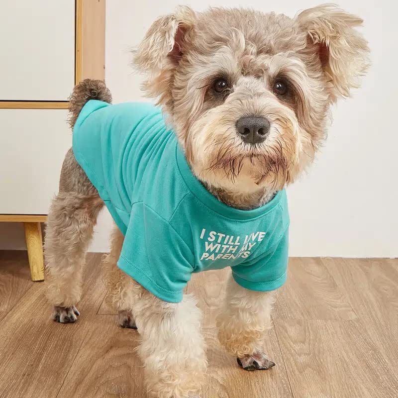 Round Neck Pet T Shirt Apparel