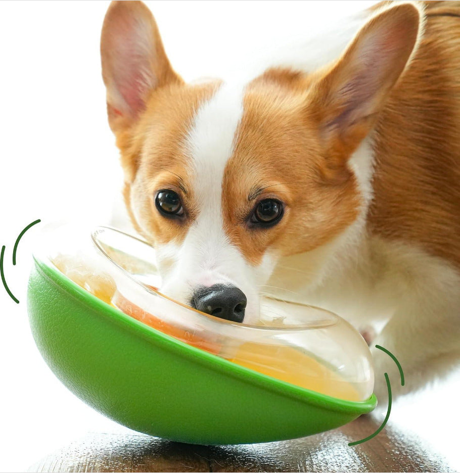 Anti Tumble Avocado Pet Feeding Bowl Cute Dish