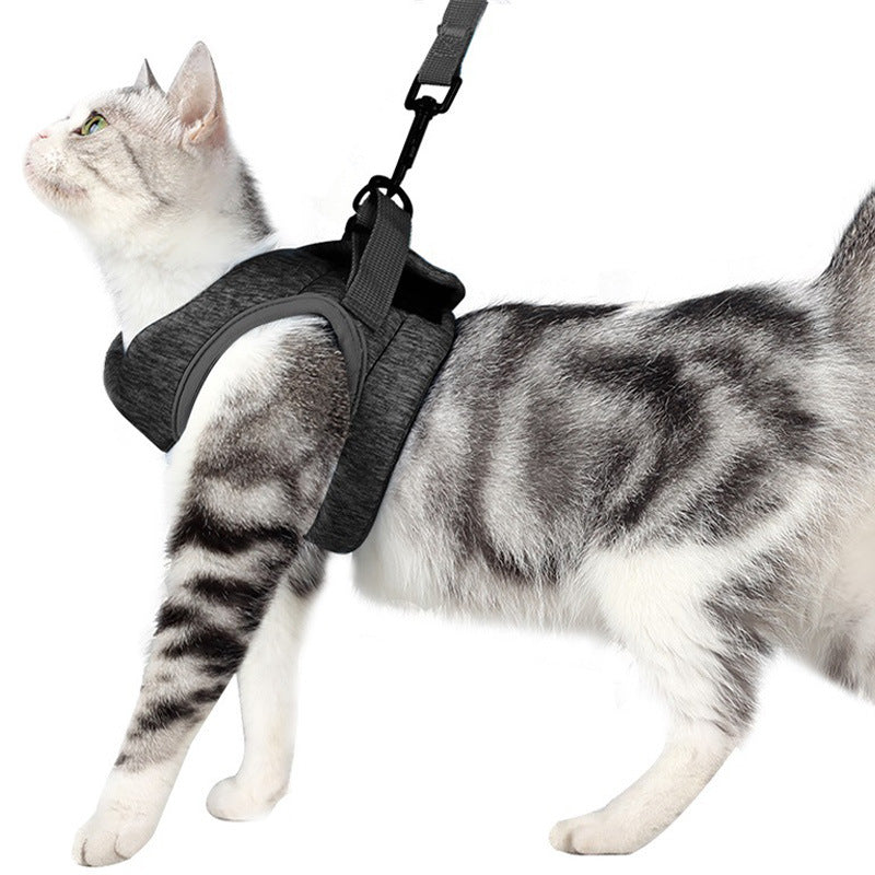 Breathable Lightweight Lace Pet Chest Harness Leash