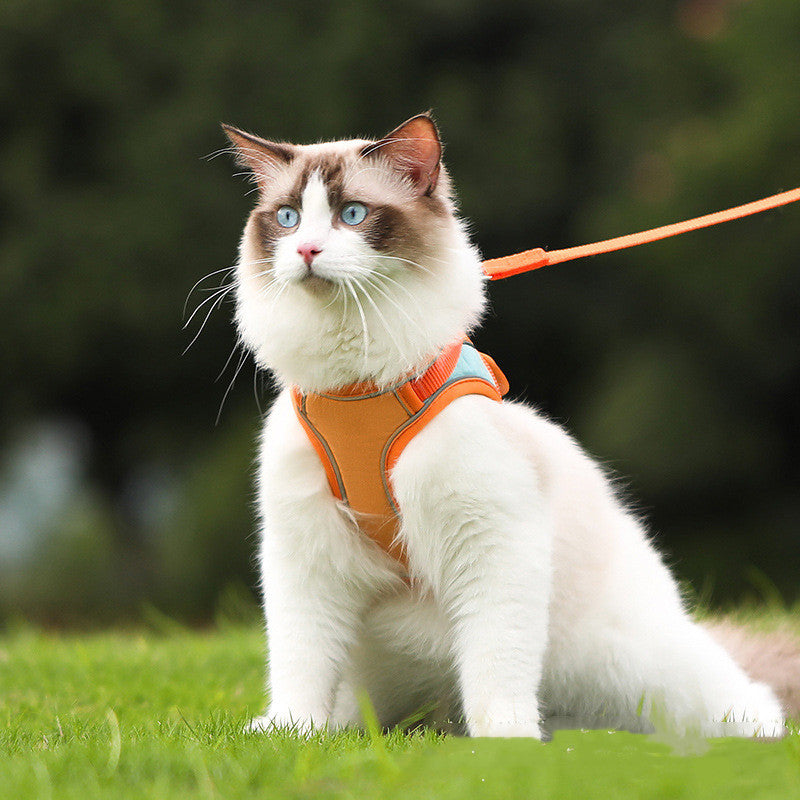 Anti Escape Reflective Pet Harness Leash Set