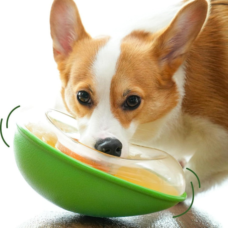 Anti Tumble Avocado Pet Feeding Bowl Cute Dish