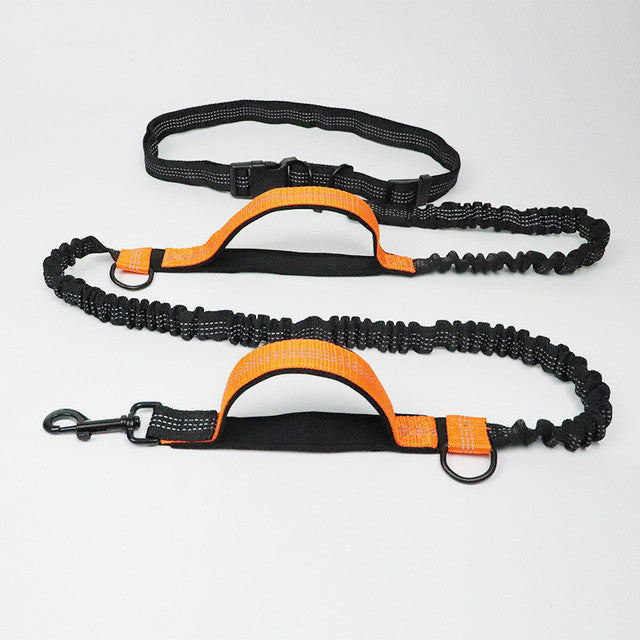 Adjustable Pet Harness Collar Jogging Leash Set