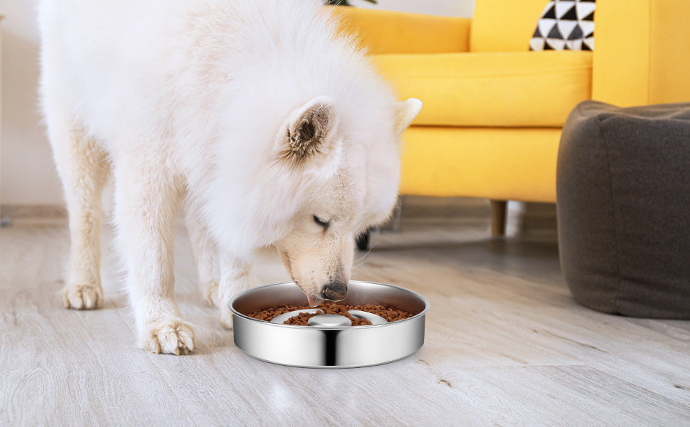 Stainless Steel Pet Slow Feeding Bowl With Neck Protector